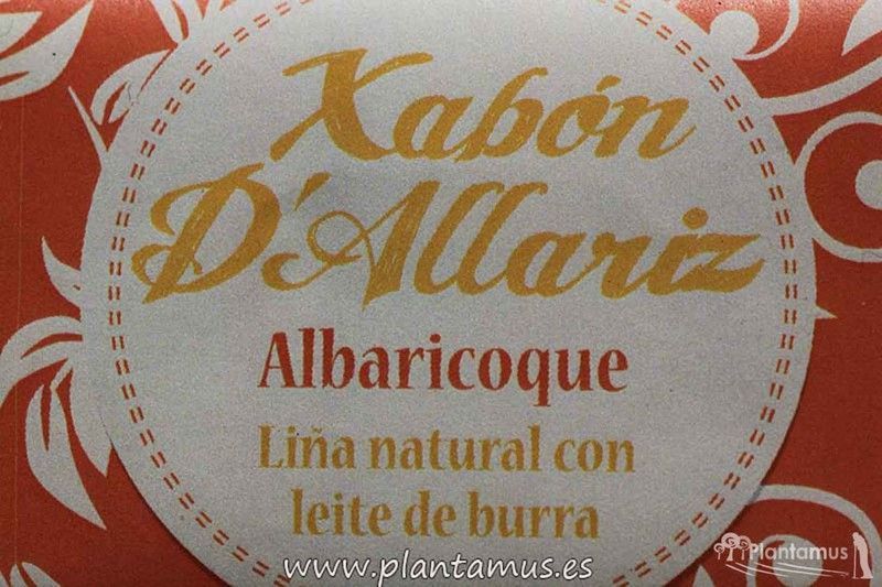 Jabón con leche de burra Albaricoque