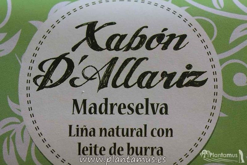 Jabón con leche de burra madreselva