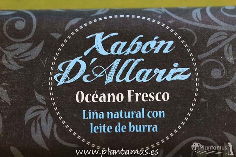 Jabón con leche de burra océano fresco