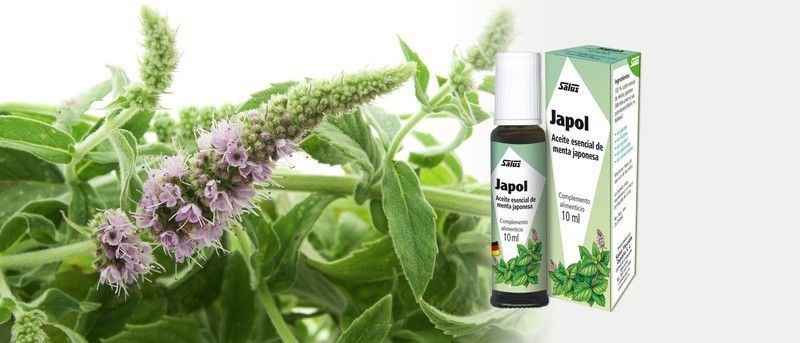 Japol Gotas (10 ml) Frasco Salus