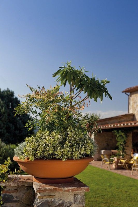 Jardinera cuenco resina Ciotola