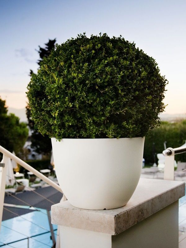 Jardinera Orione 50x37 cm