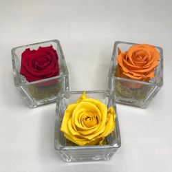 Jarrón de Cristal con Rosa Preservada San Valentín