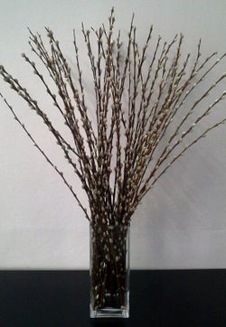 Jarrón Salix el Gato