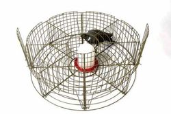 Jaula de captura para palomas