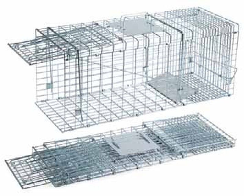 Jaula de captura plegable para gatos