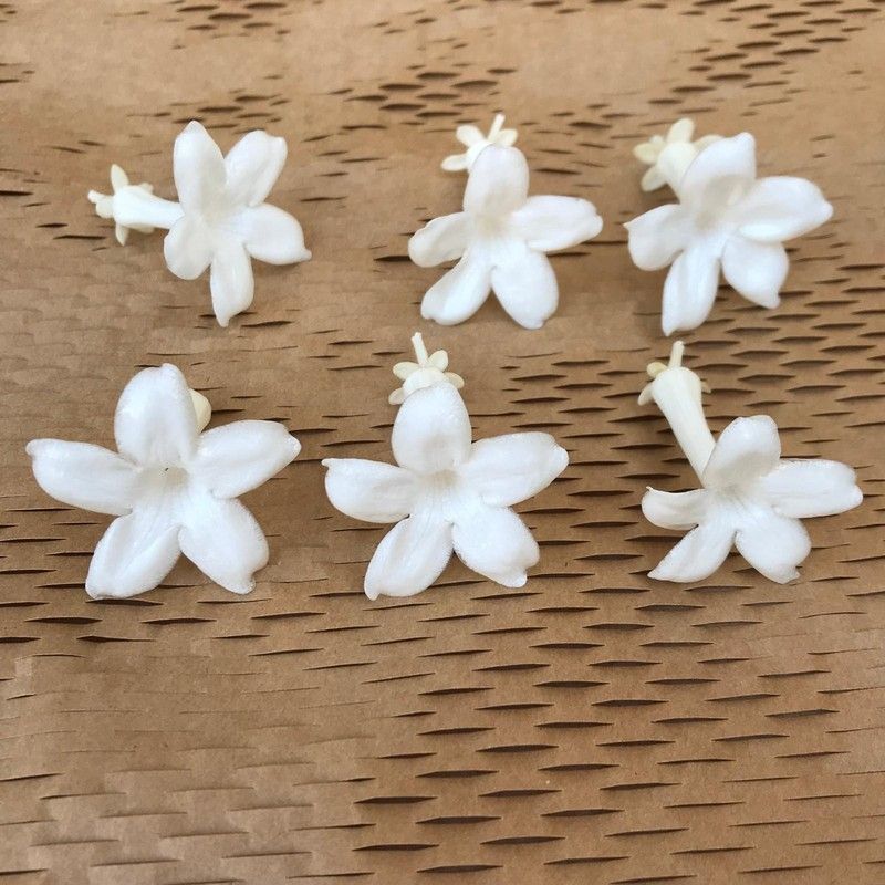 Jazmin Preservado S Caja 6 uds.