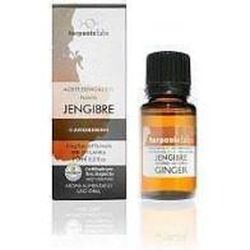 Jengibre Bio 5 Ml