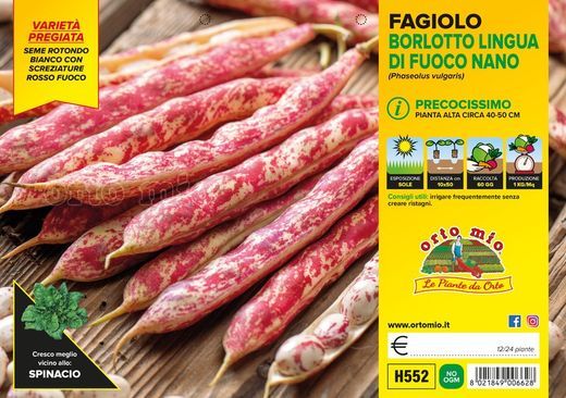 Judia Borlotto 12 Plantas En Pack