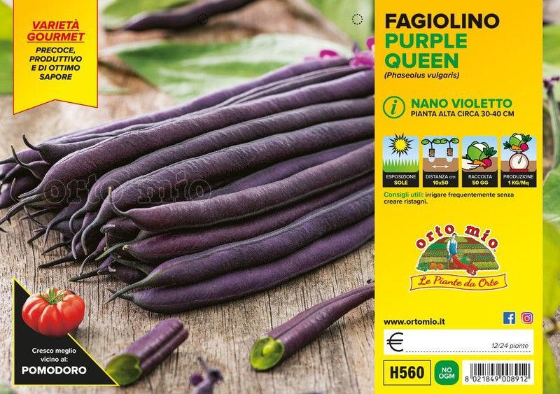 Judias Violeta Purple Queen 12 Plantas En Pack