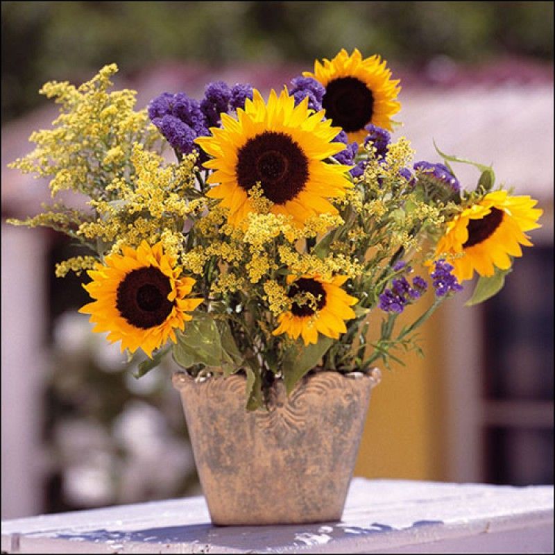 Juego 20 Servilletas Sunflower bouquet Ambiente