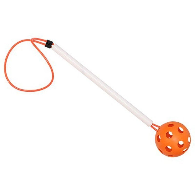 Juego de pelota con mango