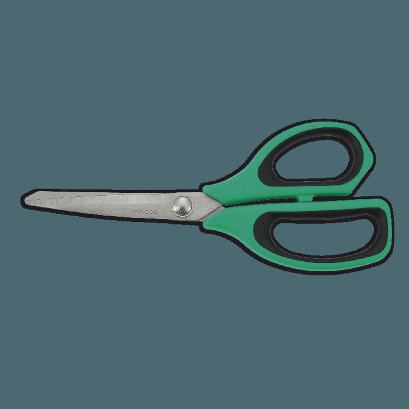 Juego de tijeras 12 unidades