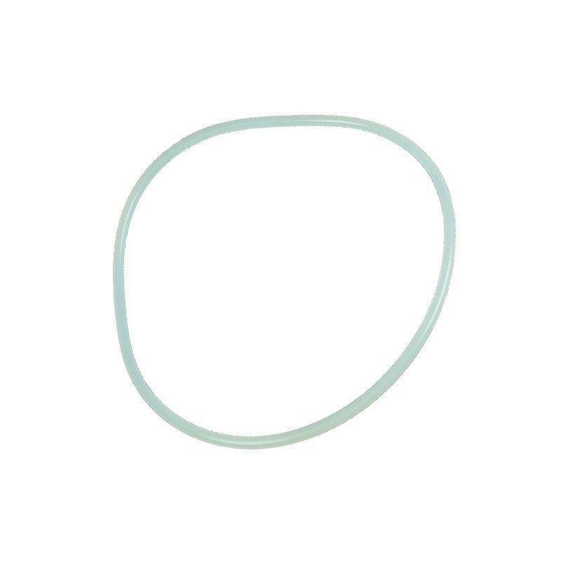 Junta Tapa Filtro Vesubio Y Aster 99