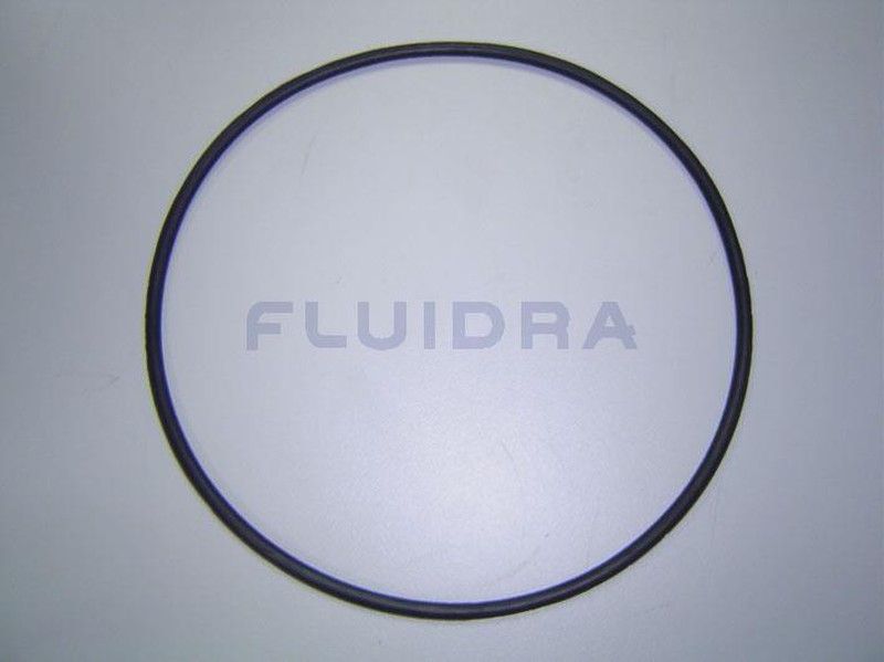 Junta Torica 192X5 (Bomba Maxim)