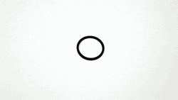 Junta Valvula Flotador Rotarex