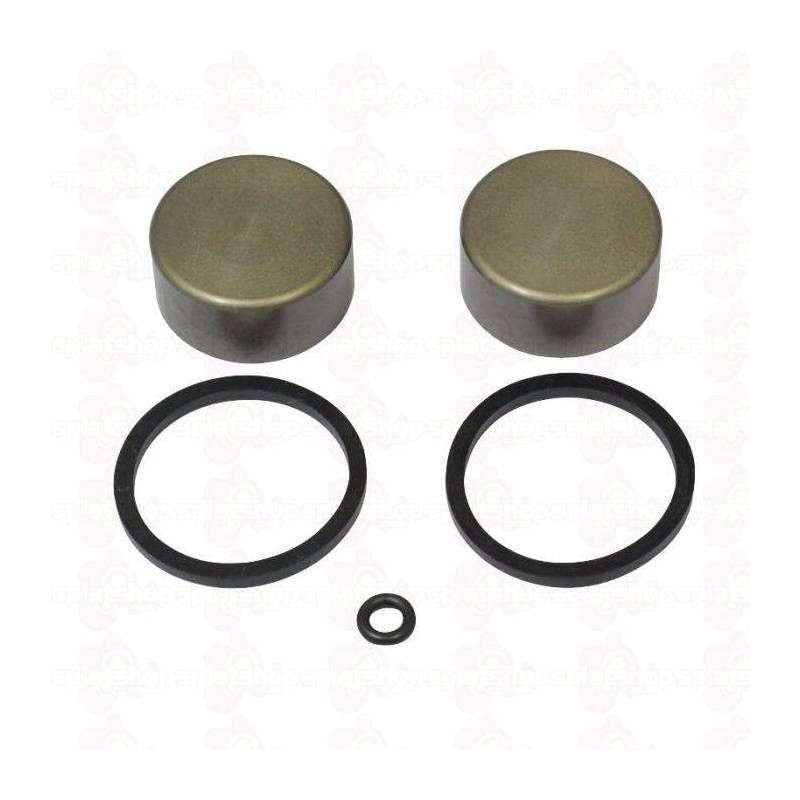 Kit de Reparación Pinza Freno Trasera Grimeca Beta Evo 160.00.328C