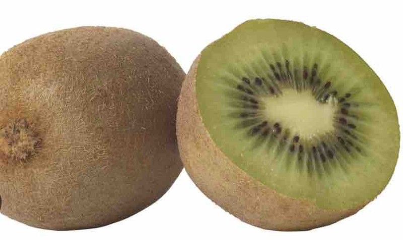 Kiwi Autofertil (Actinidia deliciosa) / Planta de 1 año