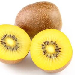 Kiwi Gold Hembra Amarillo