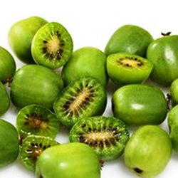 Kiwiño Arguta Issai Autofertil