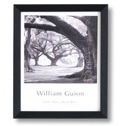 Lámina PARK con marco negro, 25x3x30 cm