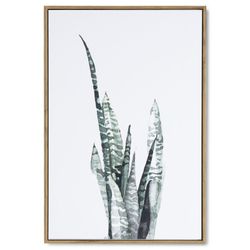 Lámina PITA con marco roble, 40x3,5x60 cm