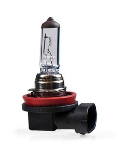 Lámpara Halógena H11 M-Tech Pgj19-2 24v/70w H11