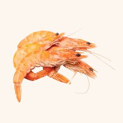 Langostino Cocido Premium ( 500g )