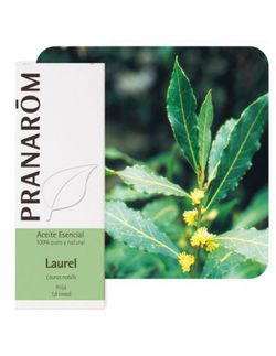 Laurel hoja 5 ml