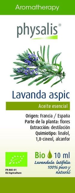 Lavanda Spica 10 Ml