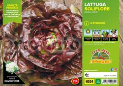 Lechuga 4 Estaciones Saliflore 9 Plantas en Pack