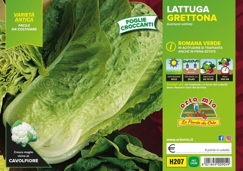 Lechuga Grettona 9 Plantas En Pack