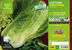 Lechuga Grettona 9 Plantas En Pack