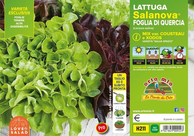 Lechuga Salanova Mix Hojas Roble Cousteau / Xodos 9 Plantas en Pack