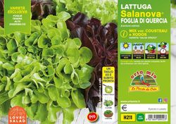 Lechuga Salanova Mix Hojas Roble Cousteau / Xodos 9 Plantas en Pack