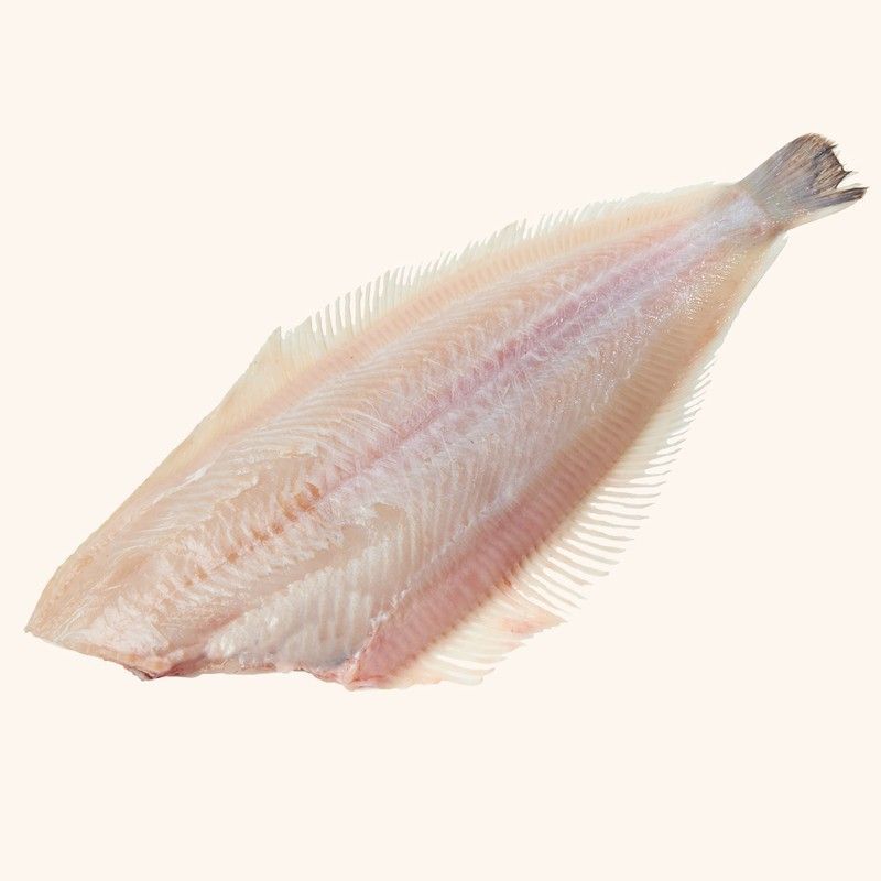 Lenguado de costa pelado y entero.