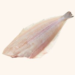 Lenguado de costa pelado y entero.