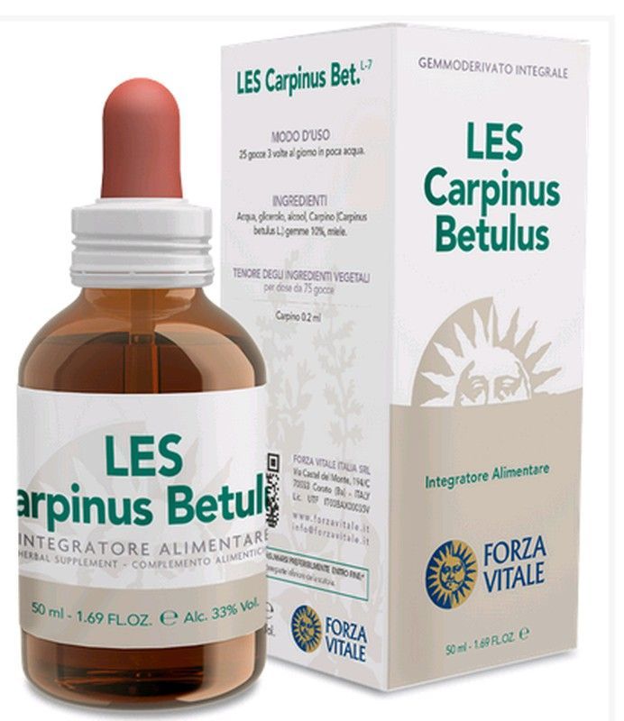 LES Carpinus Betulus 50 Ml
