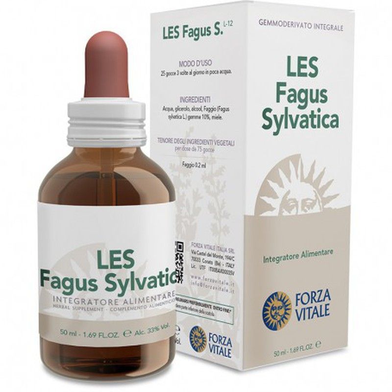 LES Fagus Sylvatica 50 Ml