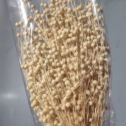 Lino Natural Seco y Colores