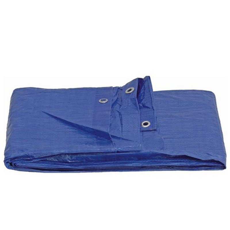Lonas de primeras materias azules de 100 gr