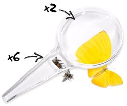 Lupa de 80 mm, 2x - 6x