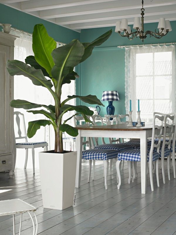 Maceta autorriego Lechuza cubico 29,5x29x5x56x5 cm