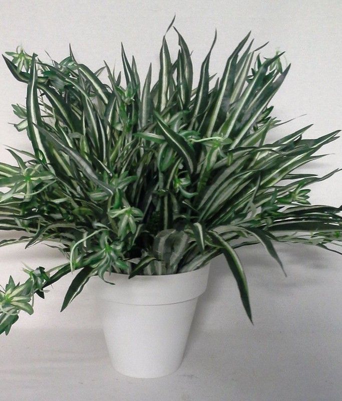 Maceta Cintas Artificiales