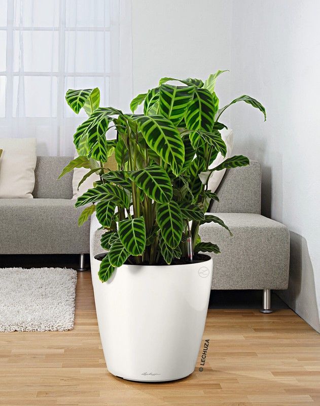 Maceta Lehuza autorriego Classico Premium 28,5 x 26 cm