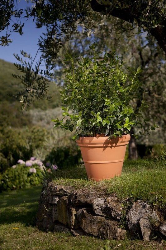 Maceta vaso de resina Liscio doppio