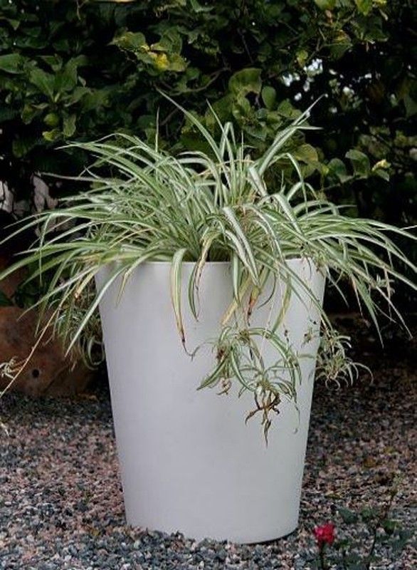 Macetero forma Campana 53 altura