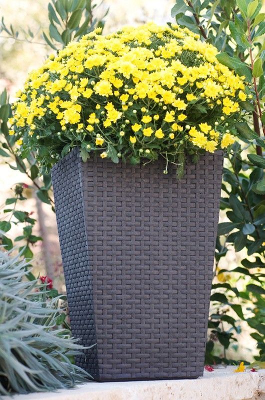 Macetero imitacion Ratan 55 L 39X39X57 de keter