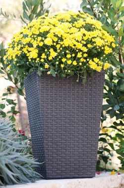 Macetero imitacion Ratan 55 L 39X39X57 de keter