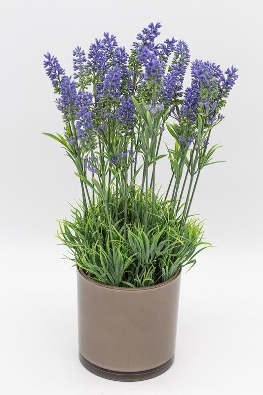 Macetero moderno con lavanda